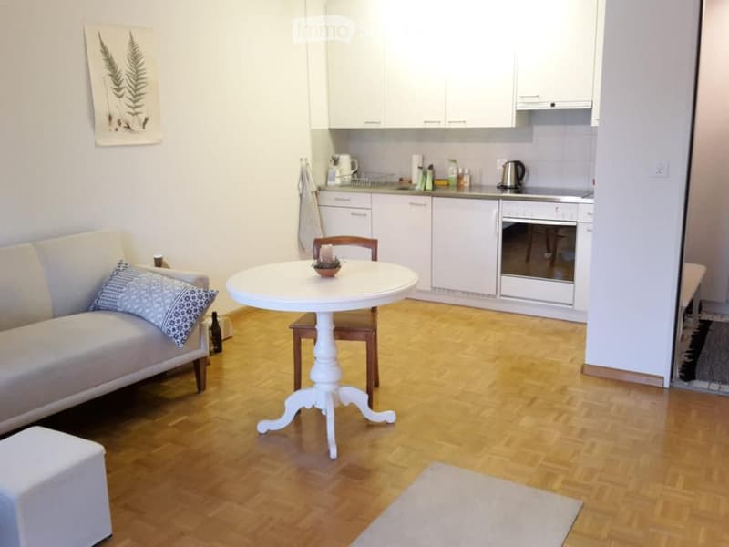 {"type": "Furnished Room", "objects": ["sofa", "table", "chair", "kitchen cabinets", "oven", "kitchen sink", "cupboard", "oven", "cupboard", "cupboard", "cupboard", "cupboard", "cupboard", "cupboard", "cupboard", "cupboard", "cupboard", "cupboard", "cupbo