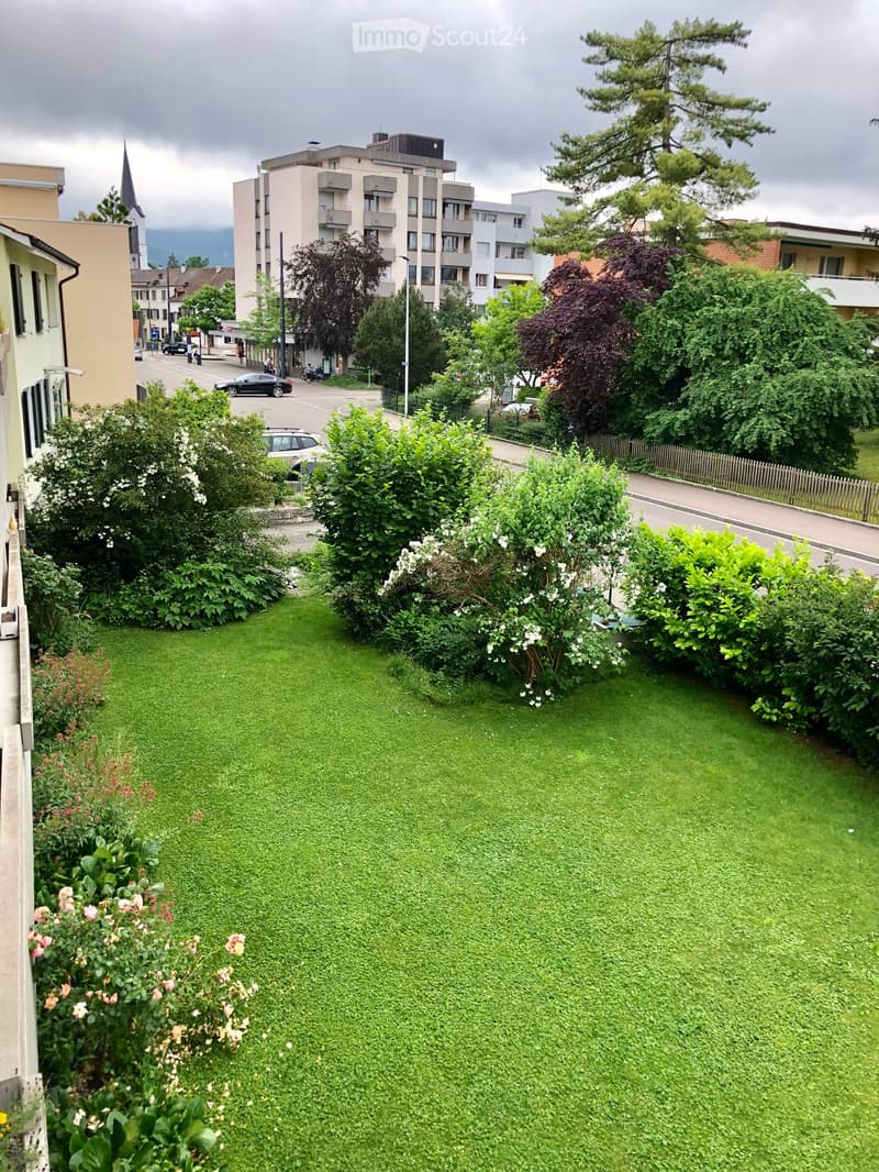 Well-maintained garden with a green lawn, surrounded by bushes and trees, with a view of a street and buildings in the background.