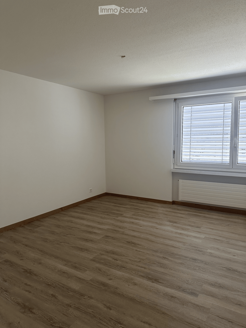 Empty room with wooden flooring, white walls, and a large window with blinds. A radiator is visible below the window.