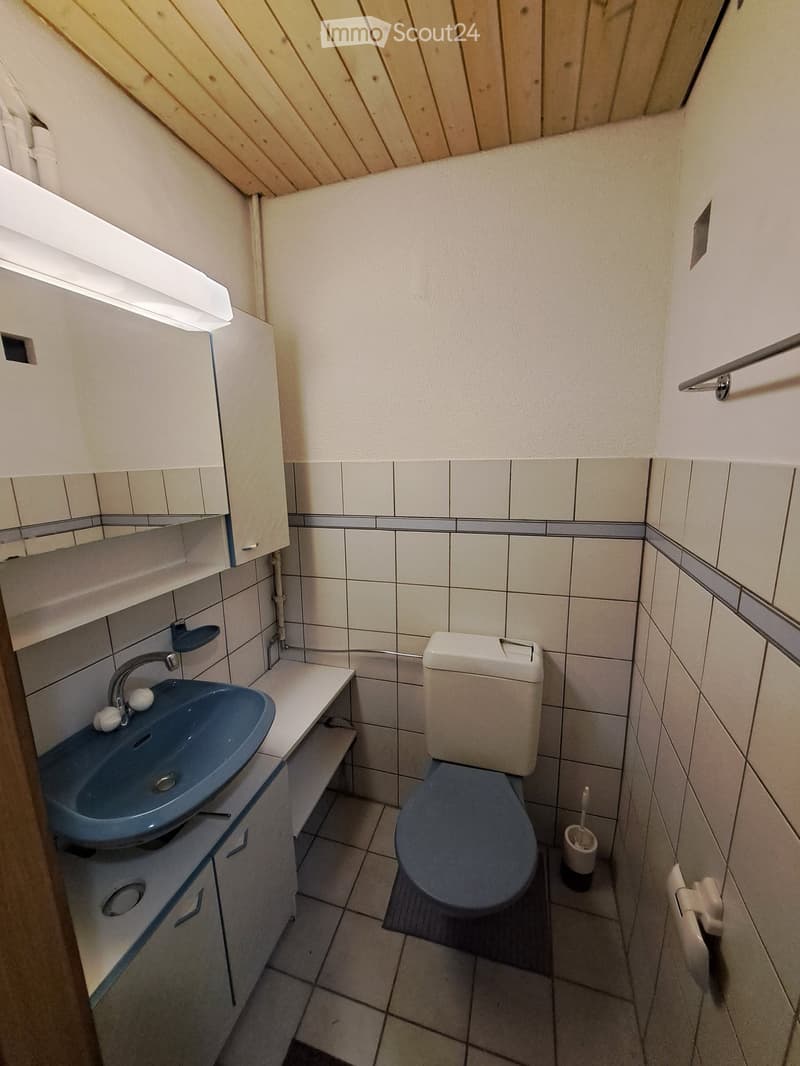 Small bathroom with a blue sink, white toilet, tiled walls, and a wooden slanted ceiling.