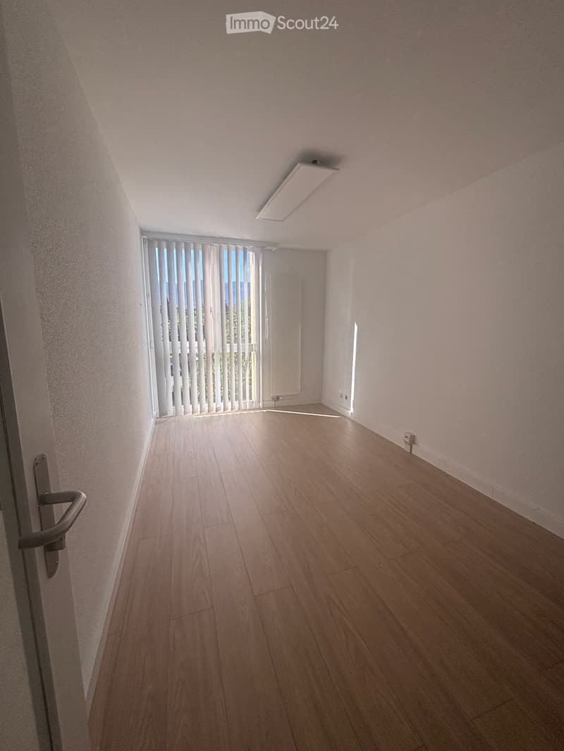 Empty room with wooden flooring, white walls, and a large window with blinds. The room has a door on the left and a light fixture on the ceiling.