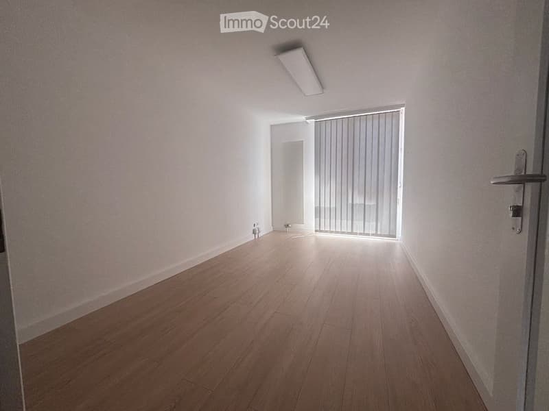 Empty hallway with light wooden flooring, white walls, and a closed door on the right side. A window with vertical blinds is visible at the end of the hallway.