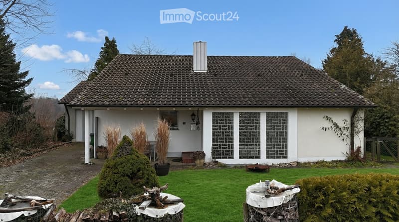 Detached house, brown roof, white walls, glass doors, garden, brick driveway