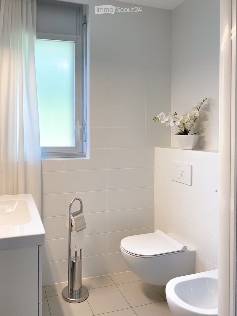 Modern bathroom with white tiles, a toilet, a sink, a toilet paper holder, and a small flower pot on a shelf.