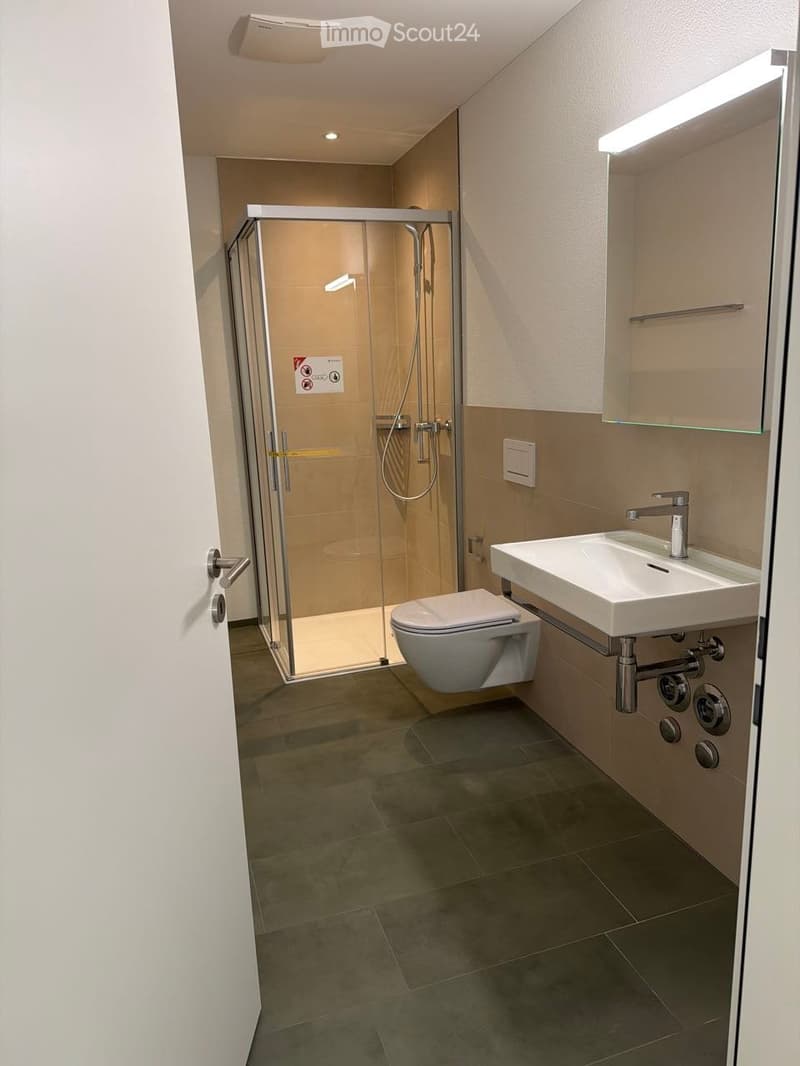 Modern bathroom with a glass-enclosed shower, toilet, sink, and a built-in mirror cabinet.