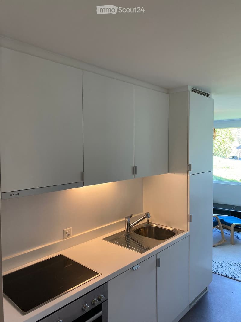 Modern kitchen with light grey cabinets, a stainless steel sink, induction cooktop, and built-in oven. The space is bright with natural light from a large window.
