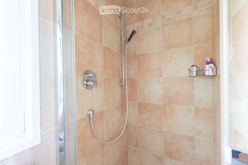 Shower area with beige tiles, modern chrome fixtures, handheld showerhead, and a small shower rack holding toiletries.