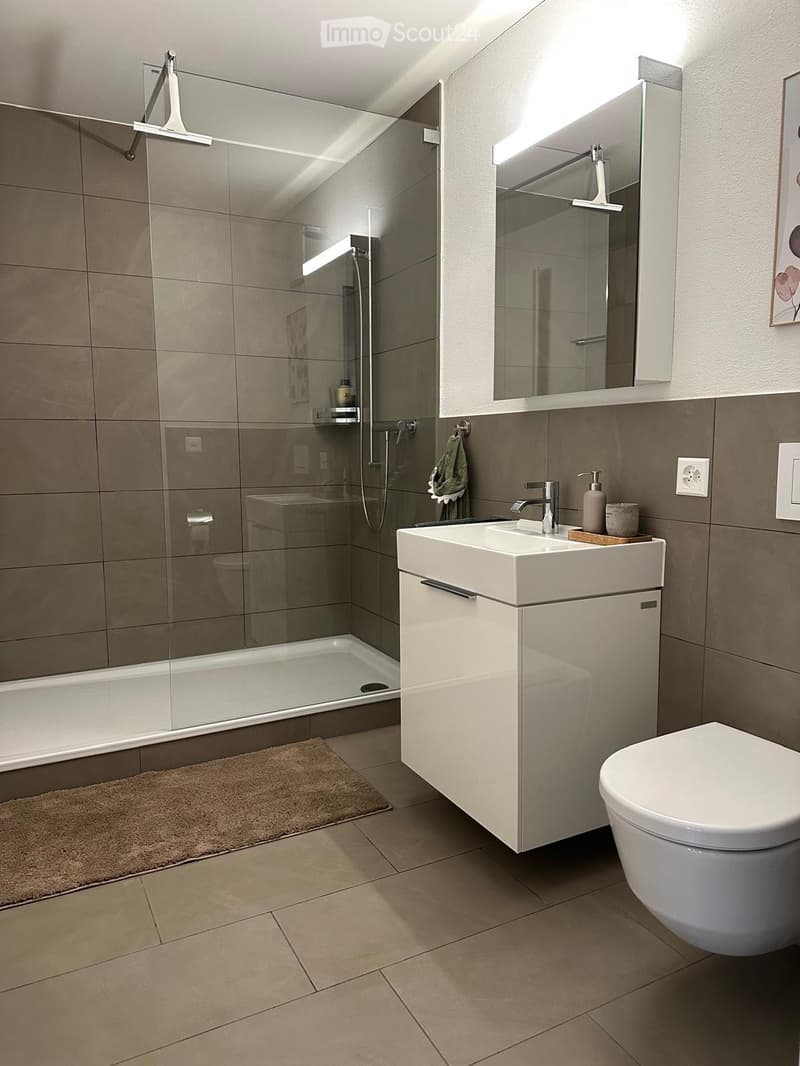 Modern bathroom with a white sink, toilet, mirror, and a glass-enclosed shower area. Features include a built-in cabinet, a towel, and a small rug on the floor.