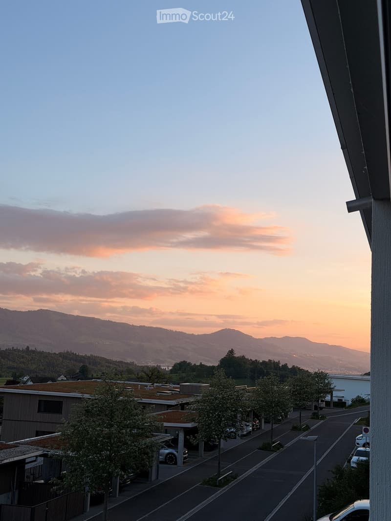 Balcony view overlooking a residential area with parked cars, trees, and distant mountains during sunset.