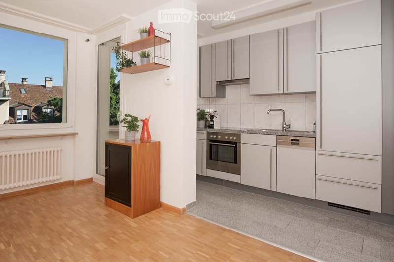 modern kitchen with white cabinets, wooden floor, large window, built-in oven, dishwasher, radiator
