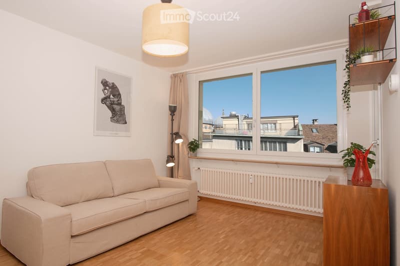 Beige sofa, white walls, wooden floor, large window, radiator, picture, lamp, plants