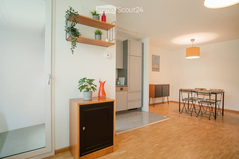 Open kitchen with dining area, wooden floor, white walls, kitchen appliances, dining table, chairs, shelves with plants, lamp