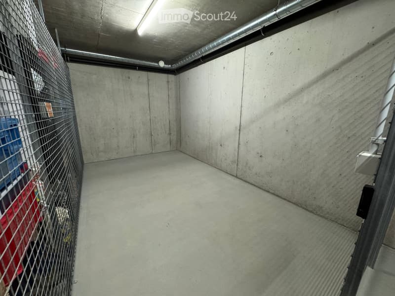 Empty concrete-walled room with a metal cage on one side and a small window at the top, illuminated by a single overhead light.