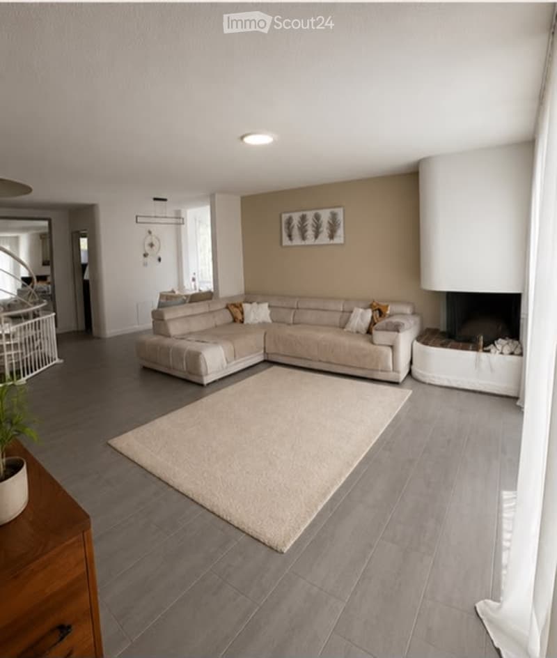 Modern living room with a grey sectional sofa, fireplace, large mirror, and potted plant on a wooden side table.