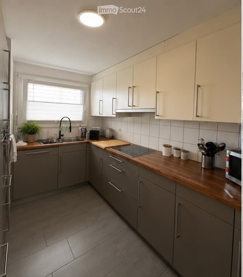 Modern kitchen with light grey cabinets, wooden countertops, and stainless steel appliances. Features include a sink with a modern faucet, microwave, and a small potted plant on the counter.