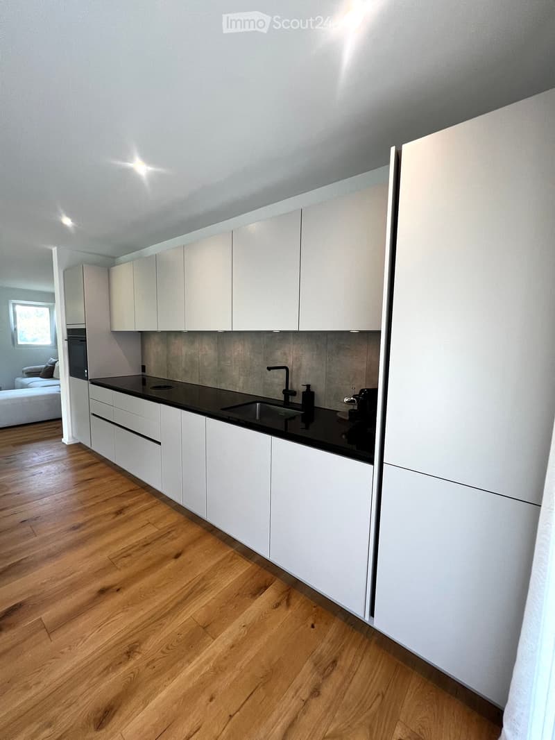 Modern kitchen with white cabinets, black countertop, wooden flooring, and stainless steel appliances.
