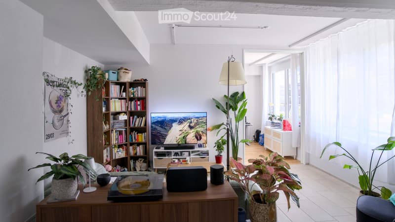 Modern living room with large windows, white walls, wooden floor, bookshelf, TV, record player, and several potted plants.