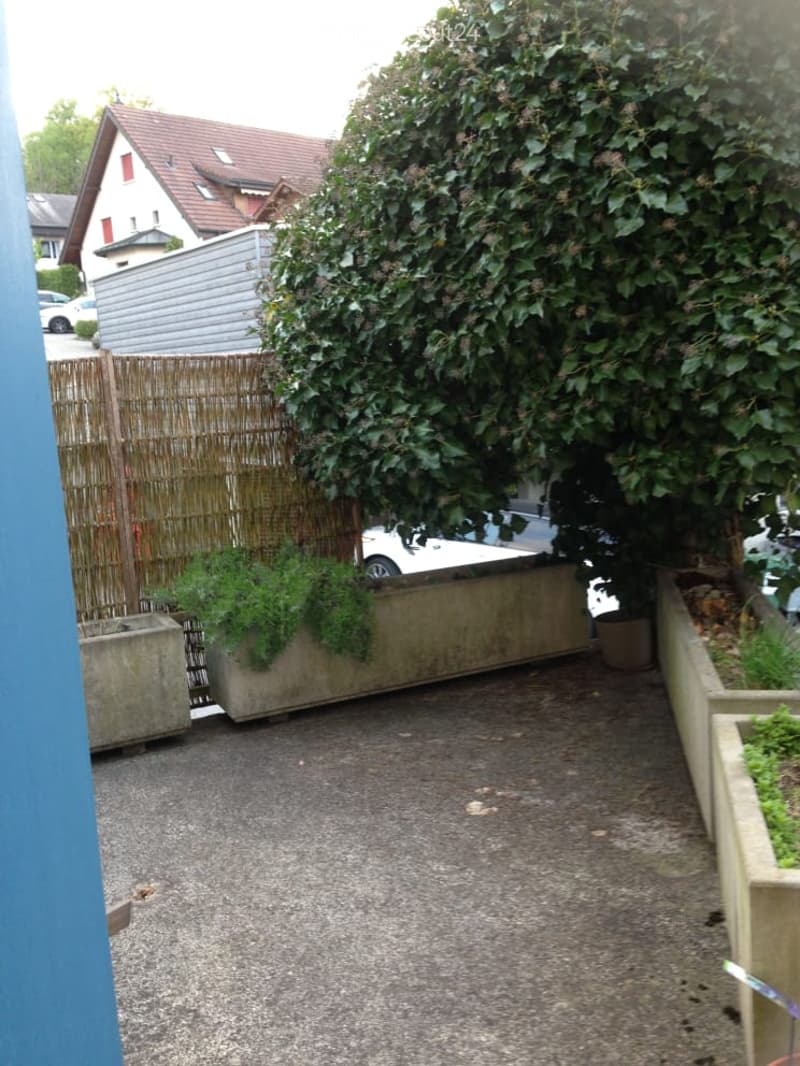 A narrow, paved outdoor area enclosed by a wooden fence, with potted plants and a large tree providing shade. A white car is partially visible behind the fence.