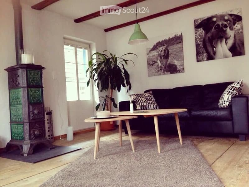 Living room with a grey sofa, wooden coffee table, floor lamp, fireplace, and large plant. The walls are decorated with picture frames of dogs.