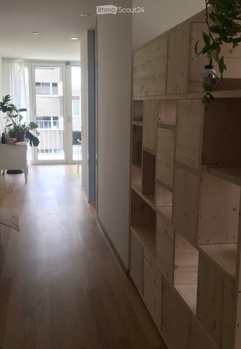 A long, narrow hallway with wooden flooring and white walls, featuring a built-in wooden shelving unit on one side and a small table with plants near a glass door leading to a balcony.