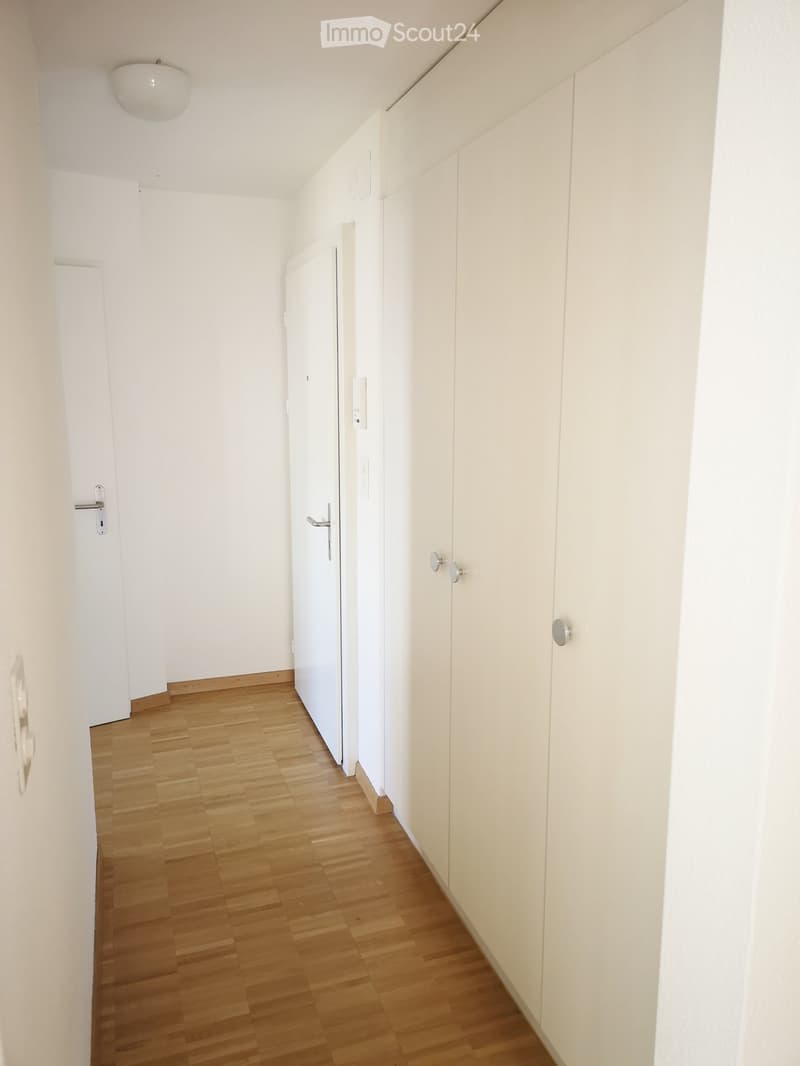 Empty hallway with light wooden flooring, white walls, built-in white cabinets, and a single round ceiling light fixture.