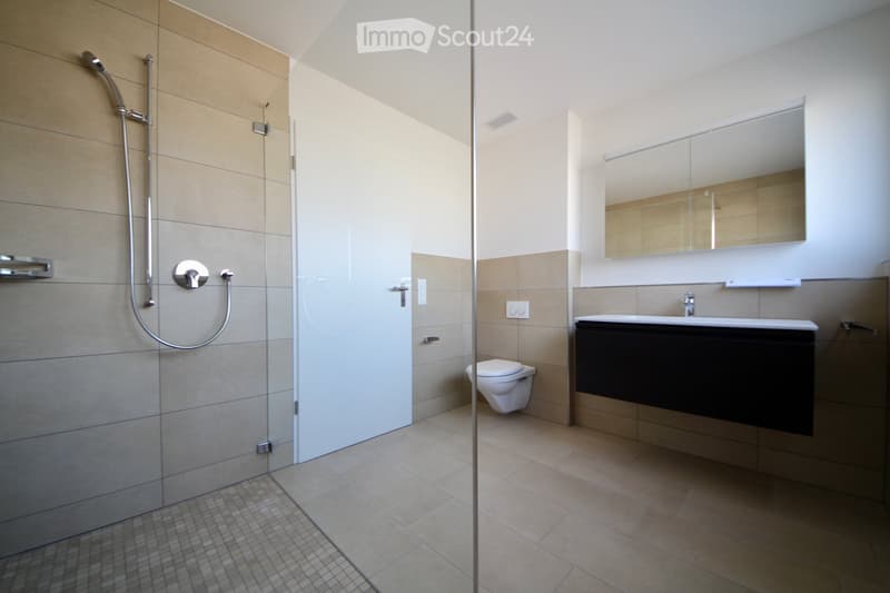 Modern bathroom with a glass-enclosed shower, a toilet, a sink with a dark vanity, and a large mirror above the sink.