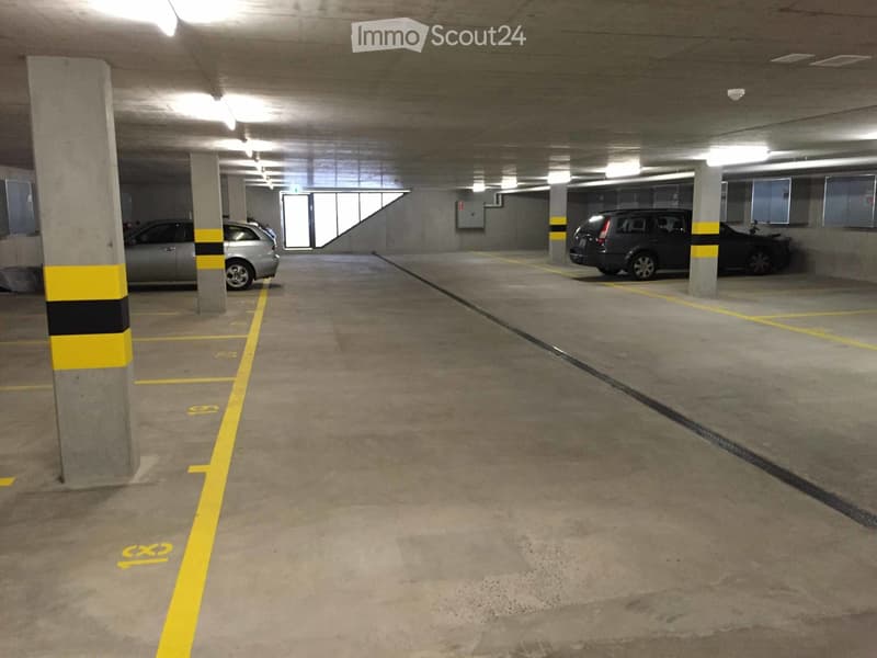 Underground parking with concrete floor, yellow markings, and two cars parked.