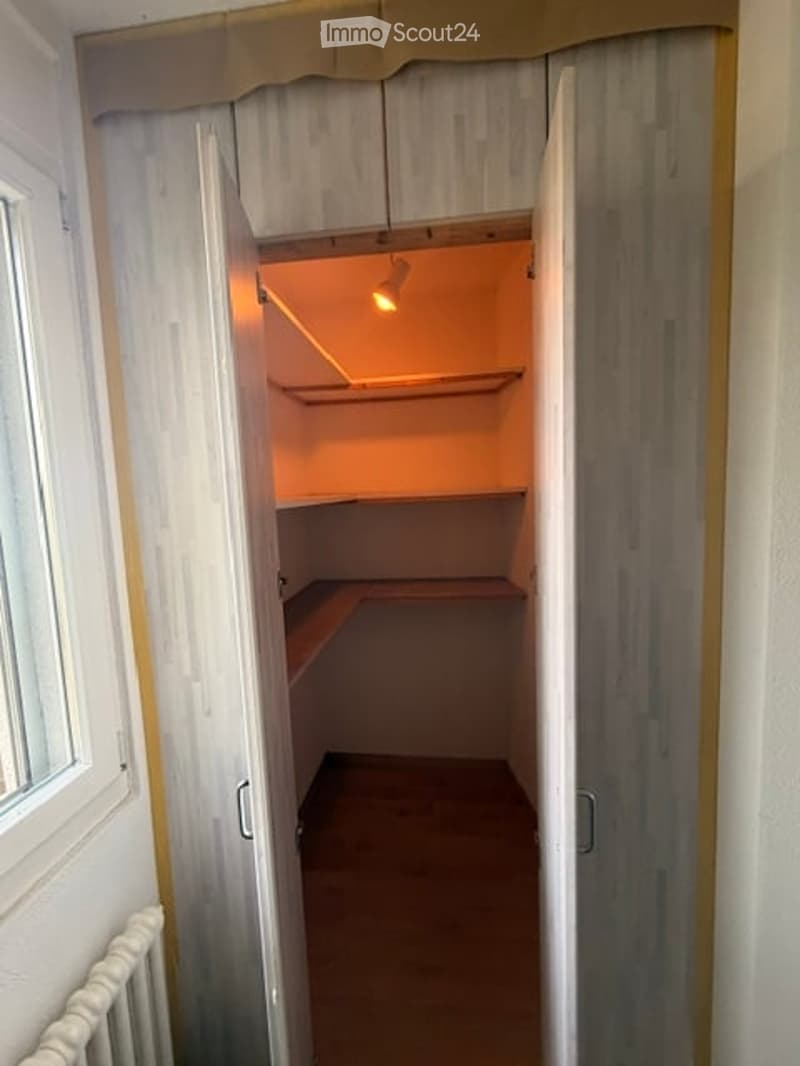 Empty closet with wooden shelves and a warm-toned light fixture, accessible through a white door with gold trim.