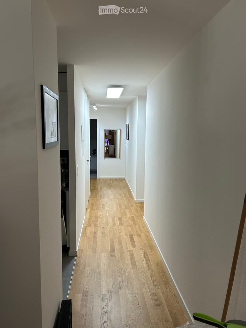 A narrow hallway with light wooden flooring, white walls, and a ceiling light fixture. A mirror and framed artwork are visible on the walls.