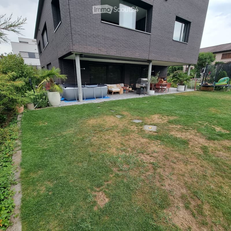 Lush green lawn with patches of dry grass, modern house with large windows and covered patio area, outdoor seating, grill, and trampoline.
