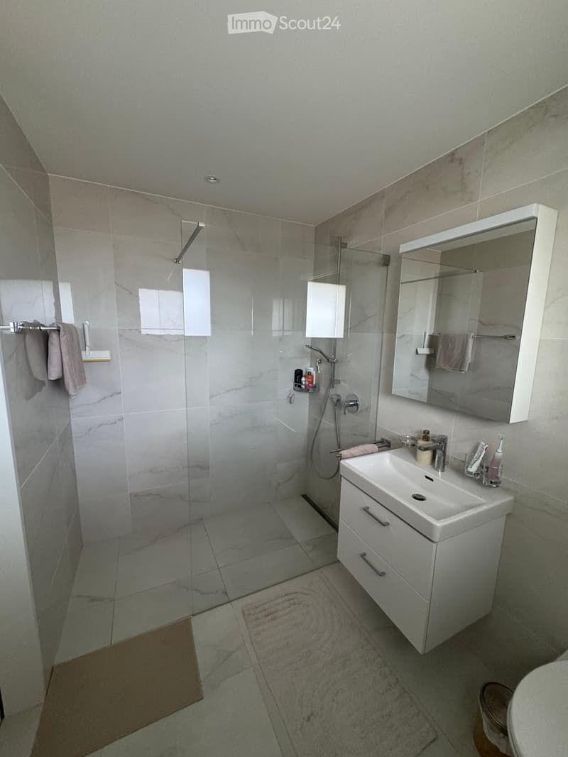 Modern bathroom with a white sink, mirror, and a glass-enclosed shower. The shower has a handheld sprayer and a built-in shelf. The sink has a modern faucet and a cabinet underneath. There are towels hanging on the wall and a small rug on the floor.