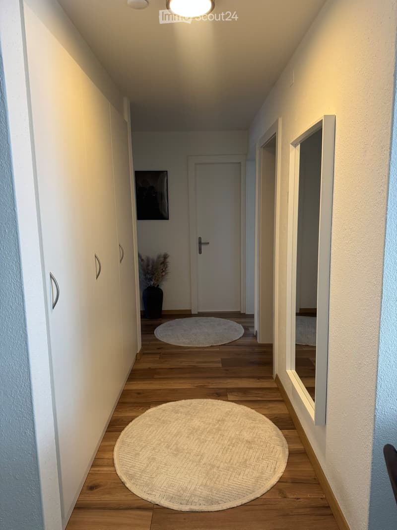 A modern hallway with wooden flooring, white walls, built-in cabinets, and two round rugs placed on the floor. A door leads to another room, and a vase with dried flowers is visible in the background.