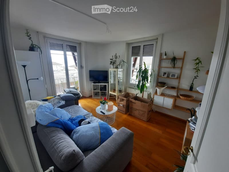 Living room with wooden flooring, large windows, sofa, coffee table, TV, shelves, and plants.