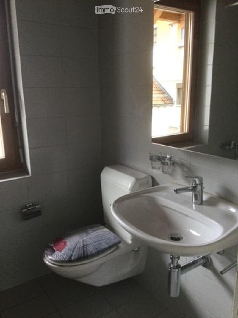 Bathroom with a toilet, sink, and mirror. The toilet has a decorative cover, and the sink has a modern faucet. A window provides natural light.