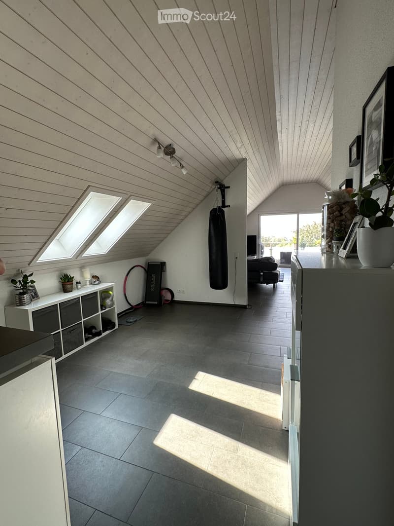 Modern, open loft-style room with grey tiled flooring, white wooden slatted ceiling, large skylights, and built-in storage unit. Features a sofa, potted plants, framed pictures, and a punching bag.