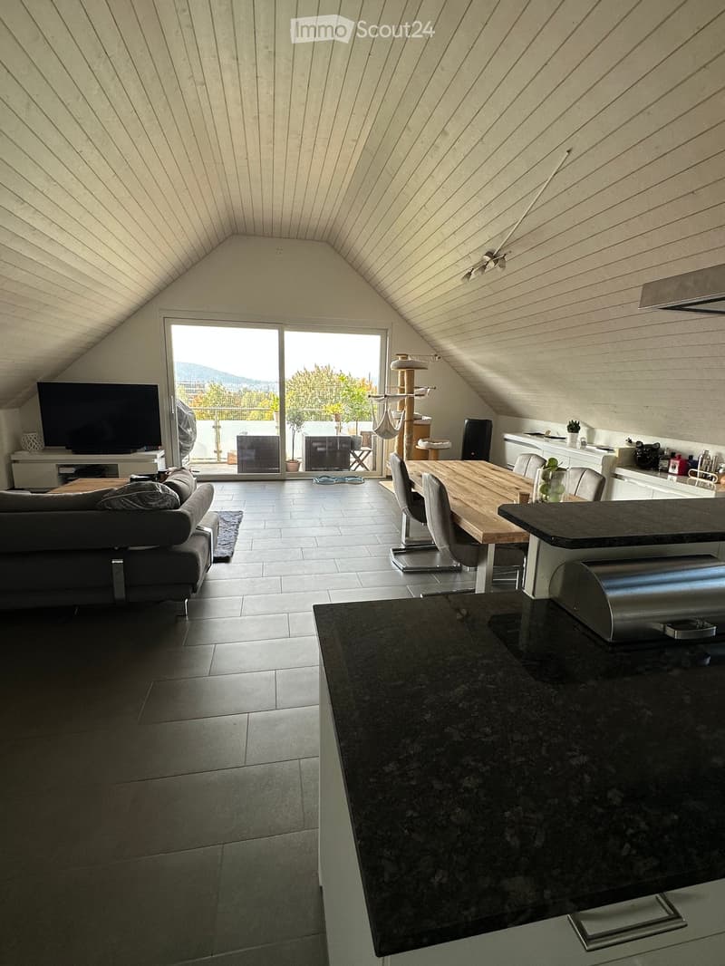 Open-plan living and dining area with a slanted wooden ceiling, large sliding glass doors leading to a balcony, a sofa, a dining table with chairs, a cat tree, and a modern kitchen island.