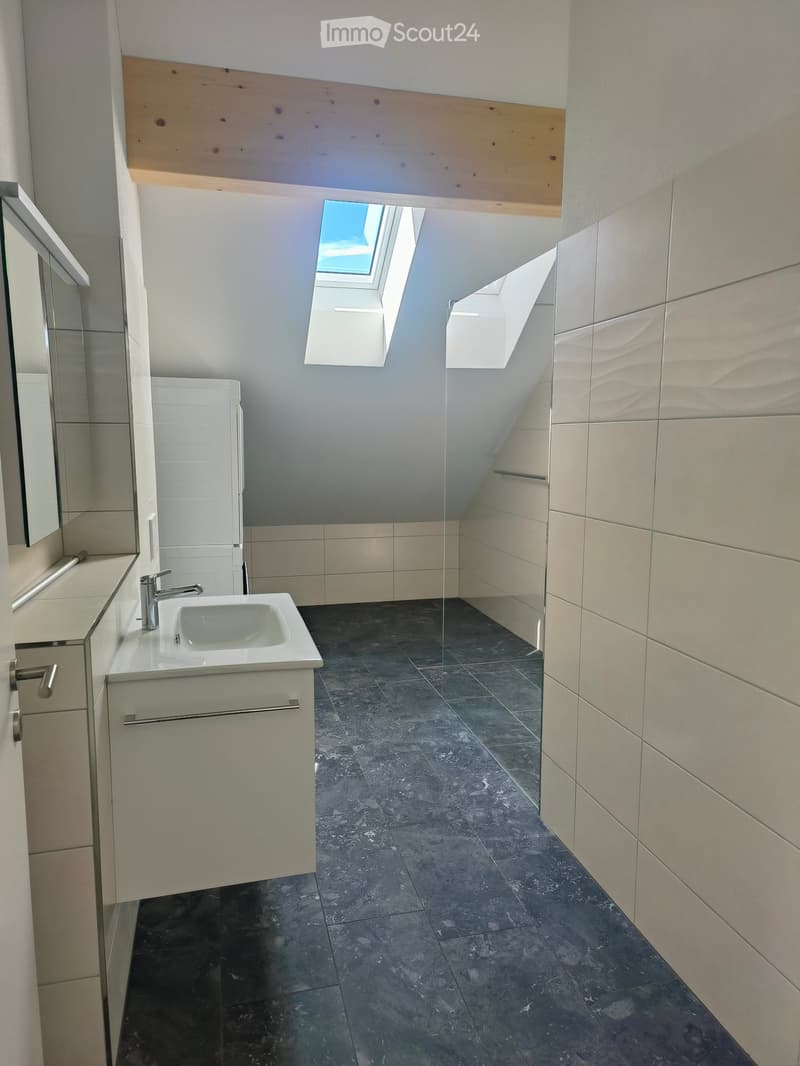 Modern bathroom with a white sink, chrome faucet, mirrored cabinet, and dark tiled floor. Features a skylight window above the sink.