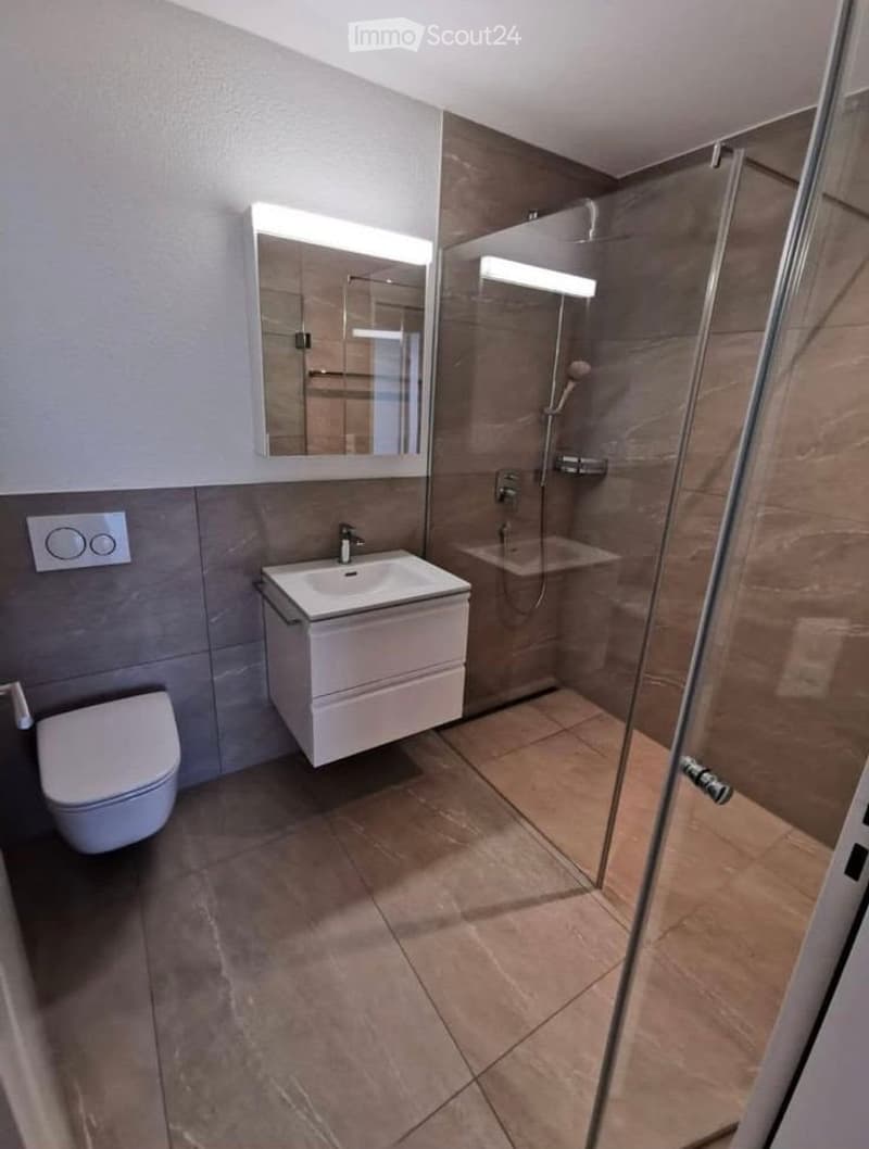 Modern bathroom with a white toilet, a white sink with a mirror, and a glass-enclosed shower area.