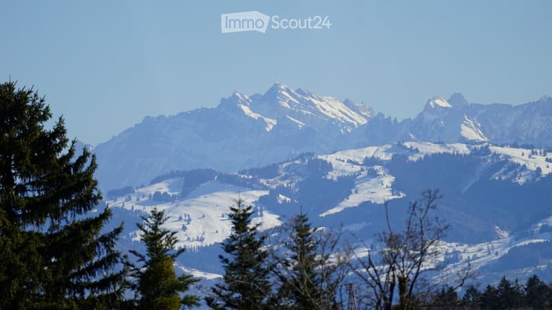 Snow-covered mountain range with clear blue sky, surrounded by evergreen trees in the foreground.