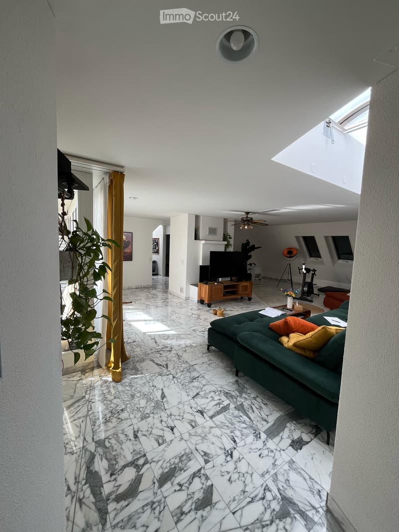 Helle 171 m² 4.5-Zimmer-Wohnung mit Cheminée und Balkon, mitten in Luzern (1)