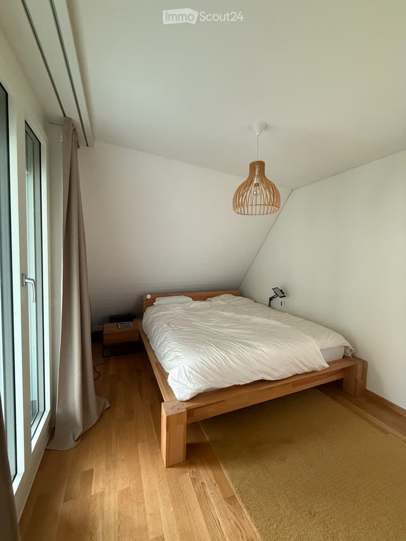 Helle 171 m² 4.5-Zimmer-Wohnung mit Cheminée und Balkon, mitten in Luzern (5)