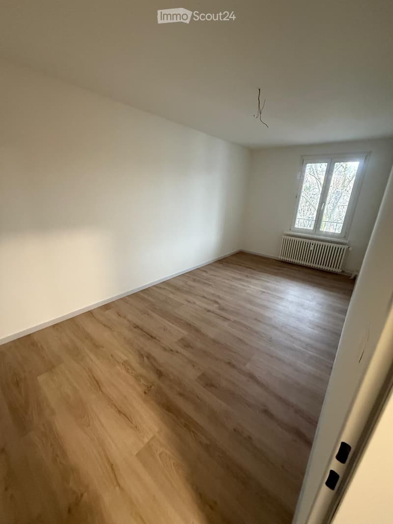 wooden floor, white walls, windows, radiator, empty room