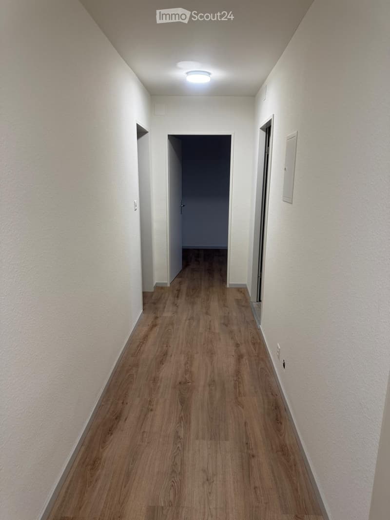 Empty corridor, three doors, wooden floor, ceiling lamp