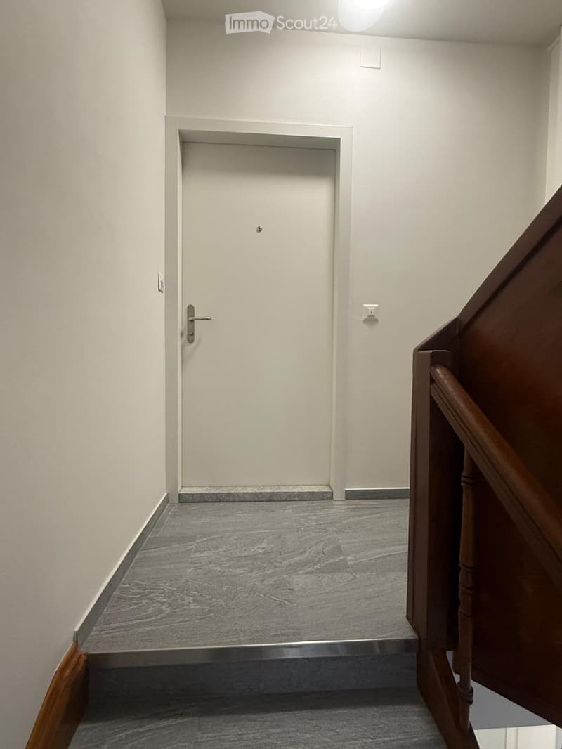 Empty hallway, entrance door, steps, white walls, gray tile