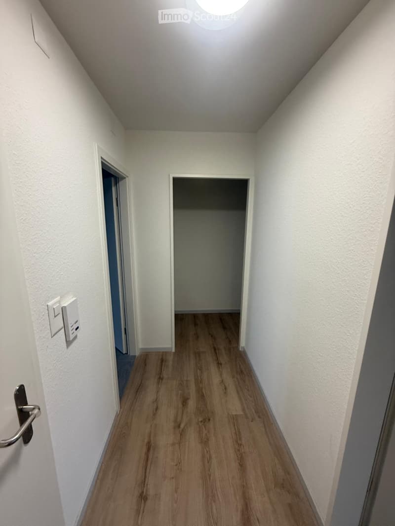 empty hallway, white walls, wood floors, two doors, circular light on ceiling