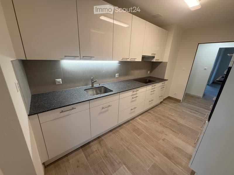 modern kitchen, white cabinets, granite countertop, double sink, built-in appliances