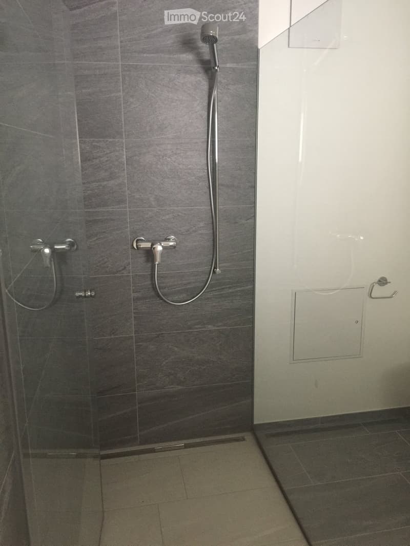 Modern shower area with grey tiled walls, a handheld showerhead, and a fixed faucet.