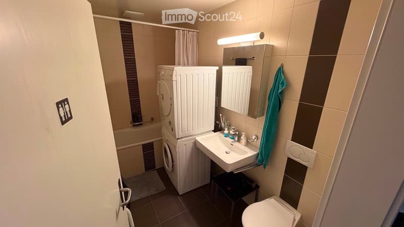 Modern bathroom with a sink, mirror, toilet, washing machine, and bathtub. Features a towel hanging on the wall and a light fixture above the mirror.