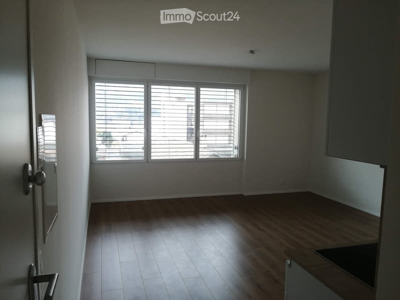 Empty room with wooden flooring, large window with blinds, and a door with a silver handle.