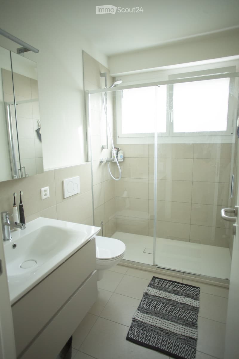 Modern bathroom with a white sink, toilet, glass-enclosed shower, and a patterned rug on the floor.